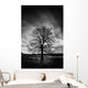 Leafless Tree