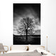 Leafless Tree