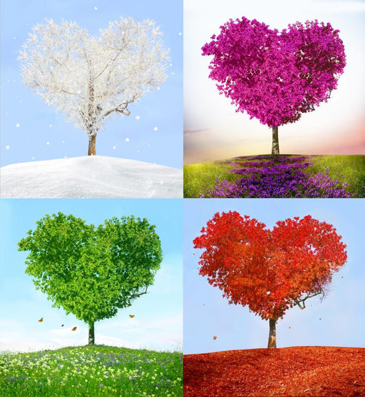 Tree of love in for season Wall Mural
