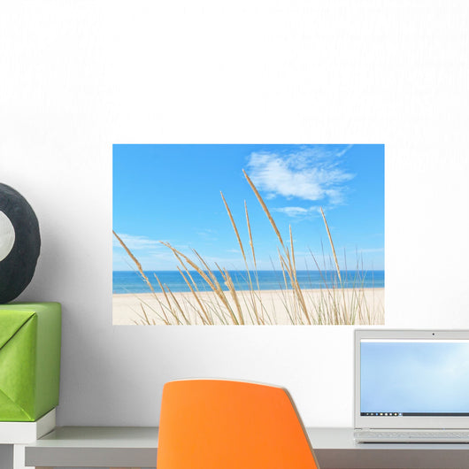 Summer Beach Kind Grass