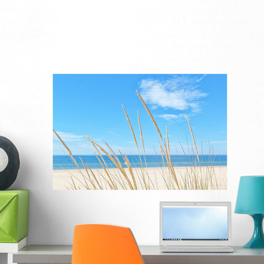 Summer Beach Kind Grass