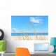 Summer Beach Kind Grass