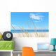 Summer Beach Kind Grass