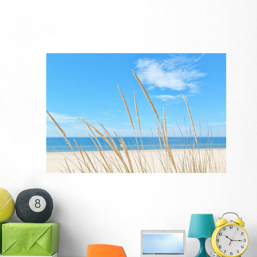 Summer Beach Kind Grass