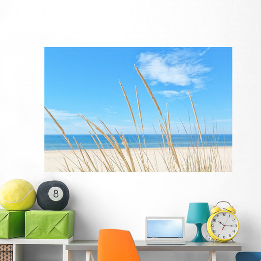 Summer Beach Kind Grass