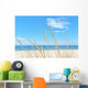 Summer Beach Kind Grass