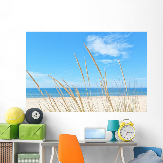Summer Beach Kind Grass
