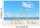 Summer Beach Kind Grass