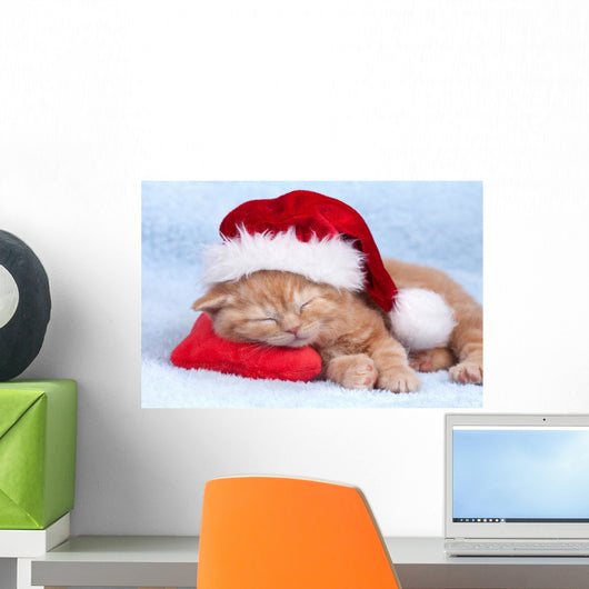 Little Cat Wearing Santas