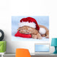 Little Cat Wearing Santas