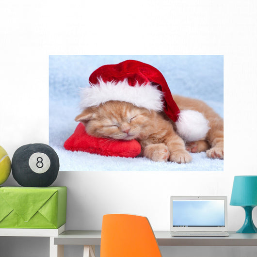 Little Cat Wearing Santas