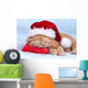 Little Cat Wearing Santas
