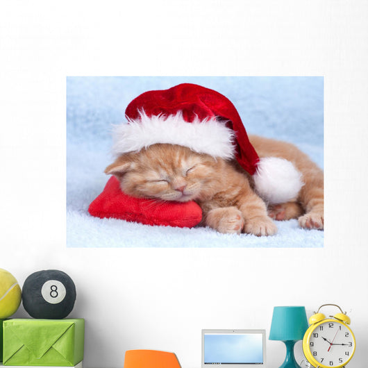 Little Cat Wearing Santas