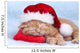 Little Cat Wearing Santas