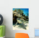 Resting Green Sea Turtle Wall Mural