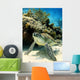 Resting Green Sea Turtle Wall Mural