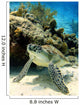 Resting Green Sea Turtle Wall Mural