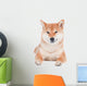 Funny Shiba Inu Dog Wall Decal