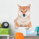 Funny Shiba Inu Dog Wall Decal