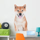 Smiling Shiba Inu Dog Wall Decal