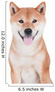 Smiling Shiba Inu Dog Wall Decal