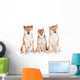 Two Shiba Inu Dogs with a Puppy Wall Decal