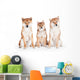 Two Shiba Inu Dogs with a Puppy Wall Decal