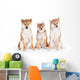 Two Shiba Inu Dogs with a Puppy Wall Decal