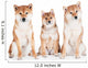 Two Shiba Inu Dogs with a Puppy Wall Decal