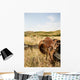 Western Saddle Wall Mural