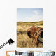 Western Saddle Wall Mural