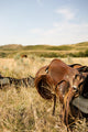 Western Saddle Wall Mural
