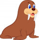 Cute walrus cartoon Wall Decal