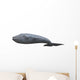 Whale Wall Decal