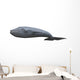 Whale Wall Decal