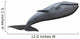 whale Wall Decal