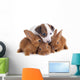 Jack Russel Terrier and