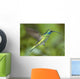 Hummingbird-Green Violet Ear Wall Mural