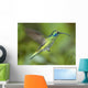 Hummingbird-Green Violet Ear Wall Mural