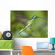 Hummingbird-Green Violet Ear Wall Mural
