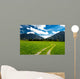 Pasture in the Bavarian Alps Wall Mural