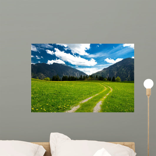 Pasture in the Bavarian Alps Wall Mural