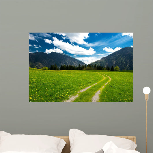 Pasture in the Bavarian Alps Wall Mural