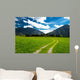 Pasture in the Bavarian Alps Wall Mural