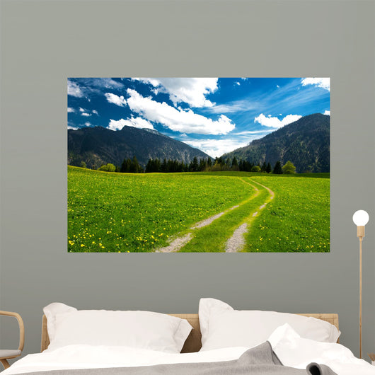 Pasture in the Bavarian Alps Wall Mural