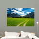 Pasture in the Bavarian Alps Wall Mural