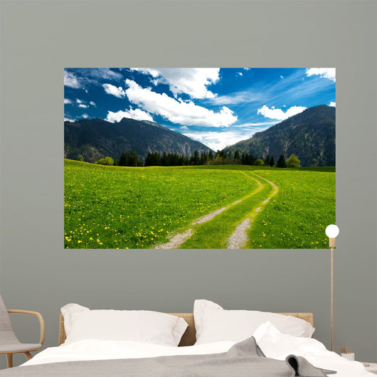 Pasture in the Bavarian Alps Wall Mural