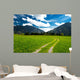 Pasture in the Bavarian Alps Wall Mural