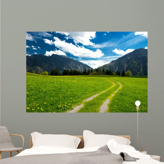 Pasture in the Bavarian Alps Wall Mural