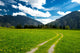 Pasture in the Bavarian Alps Wall Mural